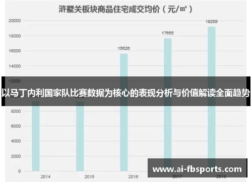 以马丁内利国家队比赛数据为核心的表现分析与价值解读全面趋势